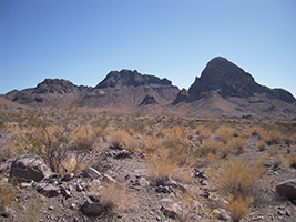 Side Trip to Oatman